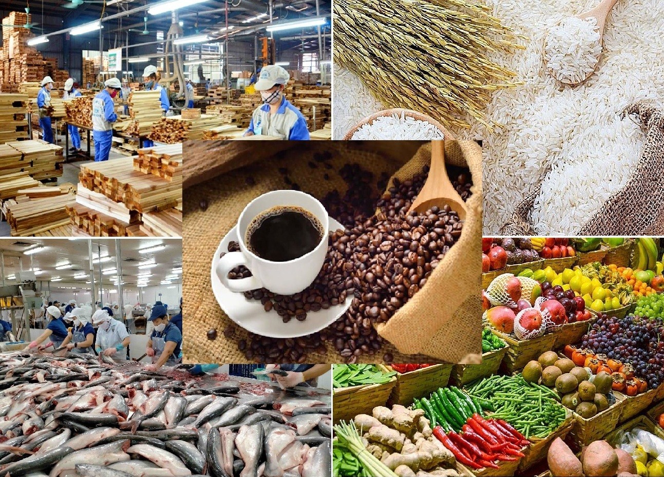 Hoàng Khang hỗ trợ xuất khẩu sản phẩm nông sản ra thị trường quốc tế Hoàng Khang hỗ trợ xuất khẩu sản phẩm nông sản ra thị trường quốc tế