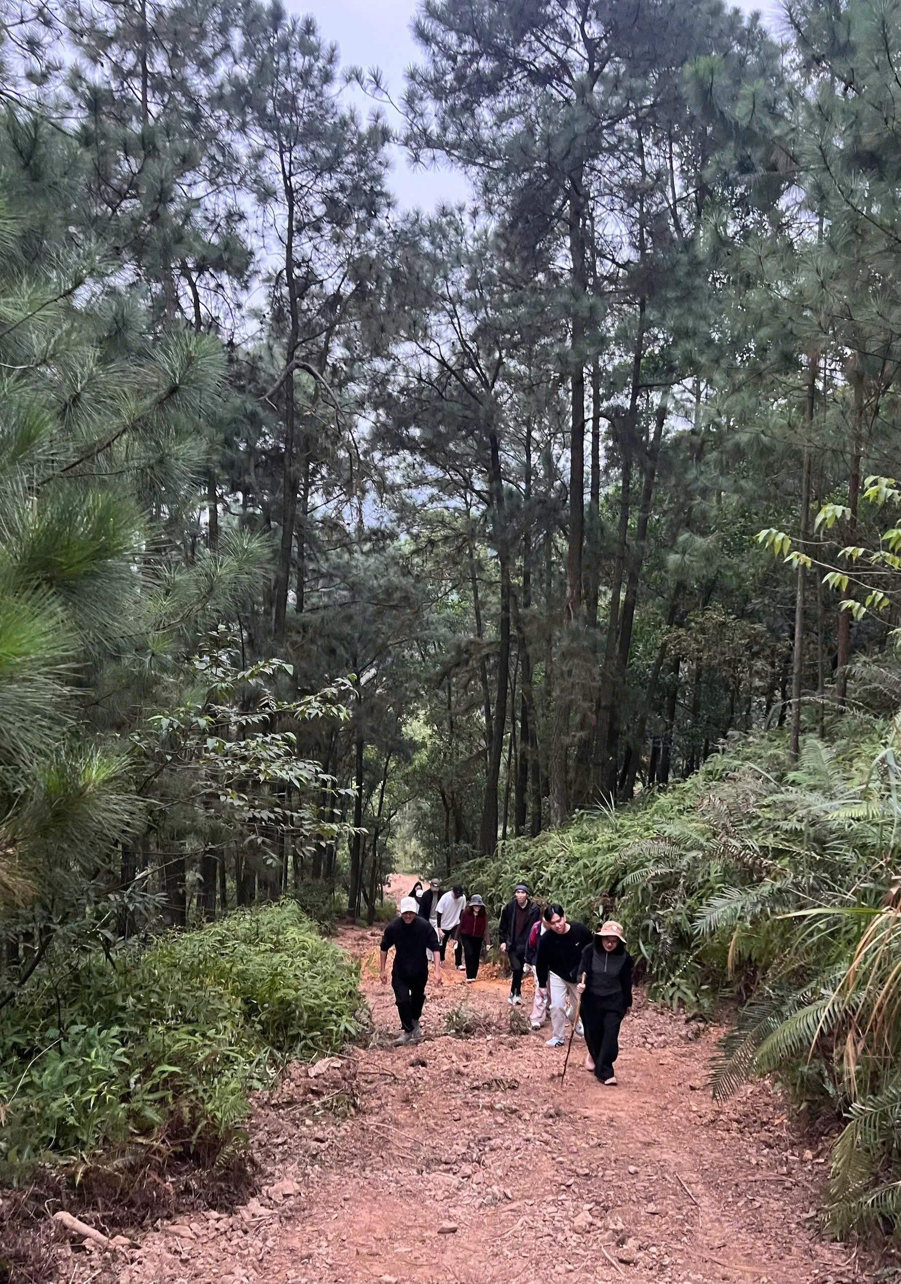 Team xuất nhập khẩu Hoàng Khang