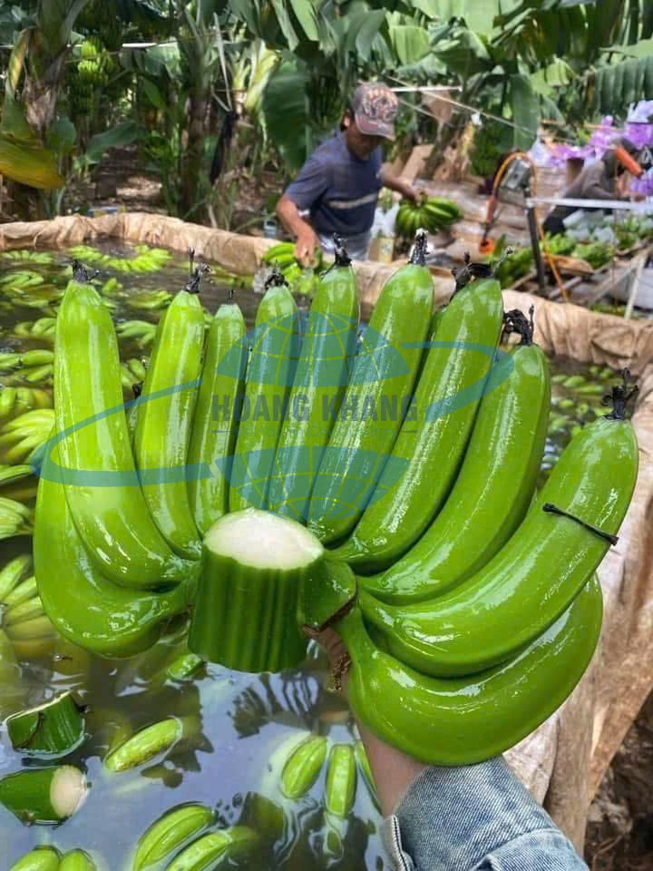 Xuất khẩu chuối Việt Nam bằng đường bộ